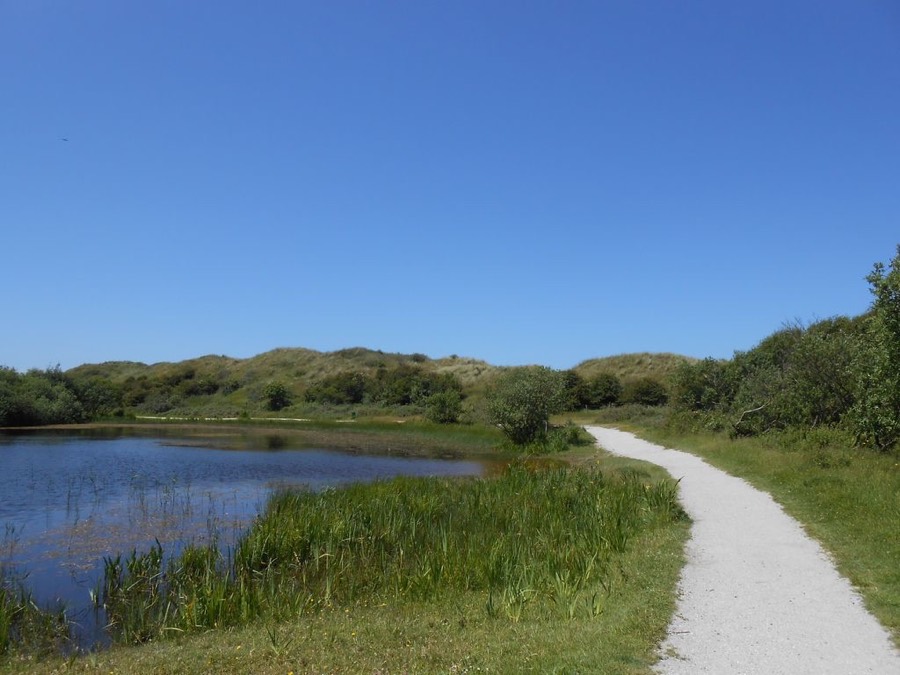 Dünenweg zur Nordsee